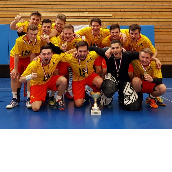 Muži postupují na finálový turnaj ČAH!